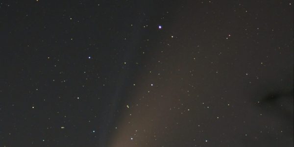 Comment observer la comète Neowise